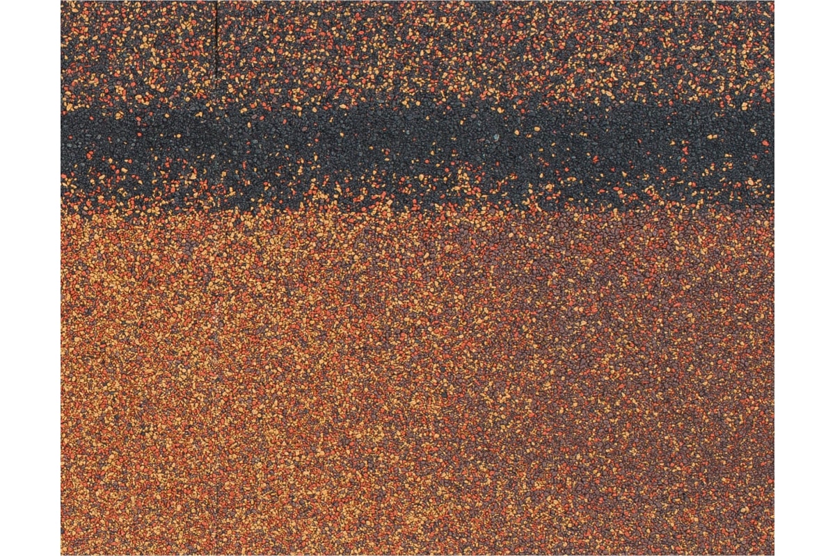 54156002.jpg